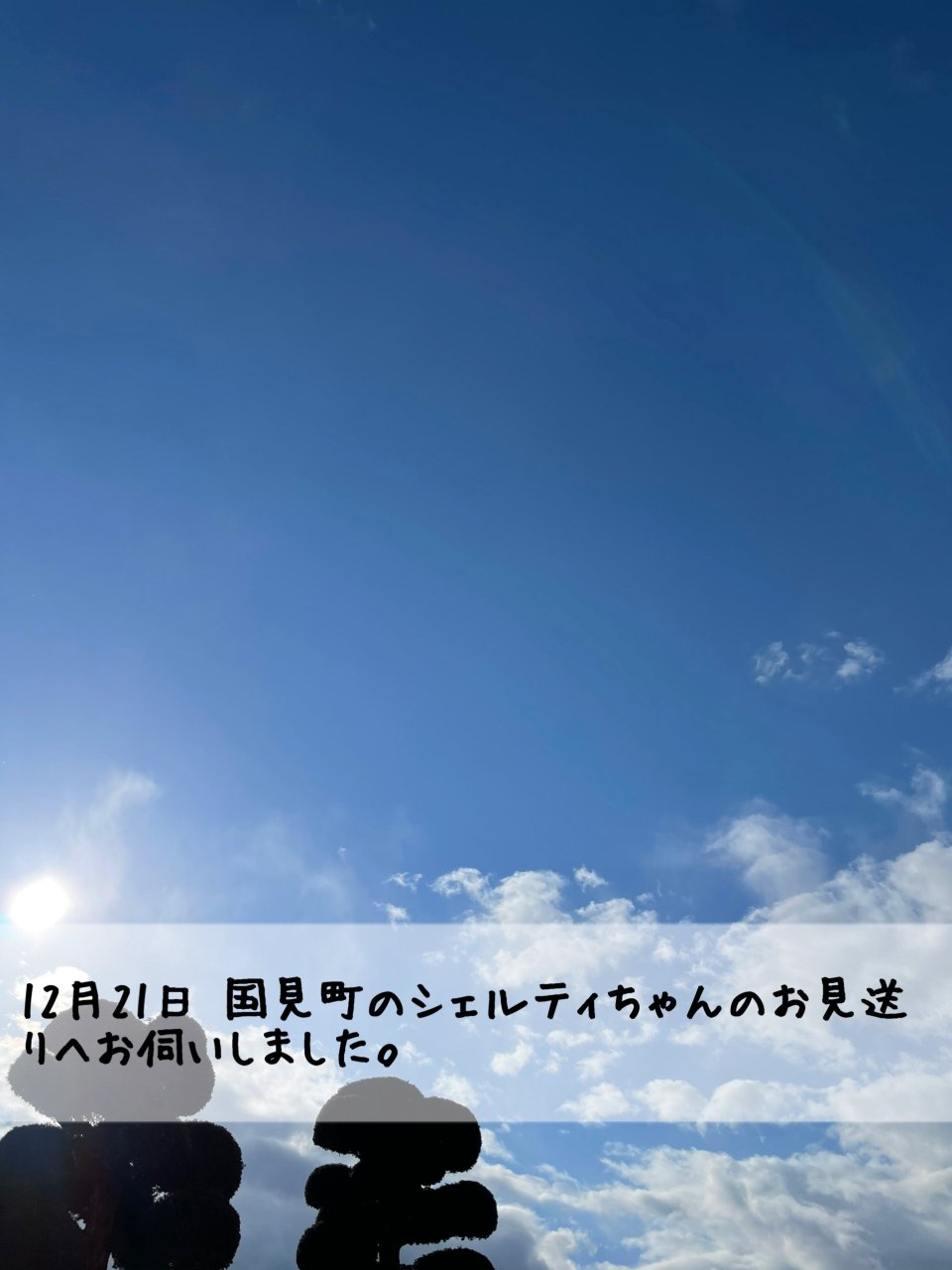 ペット訪問火葬 一縁(いちえん) | 福島市・葬儀・出張・供養