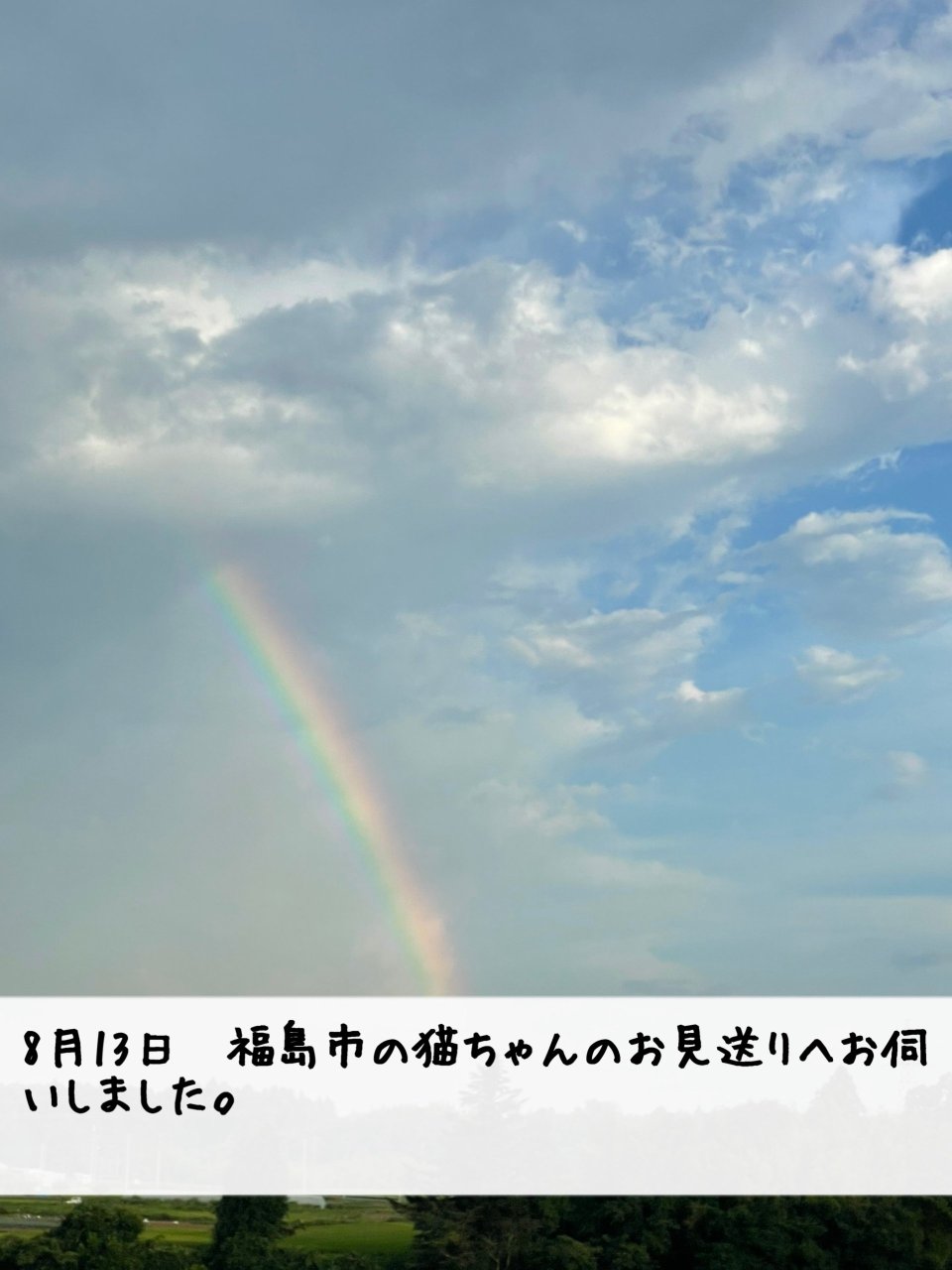 ペット訪問火葬 一縁(いちえん) | 福島市・葬儀・出張・供養