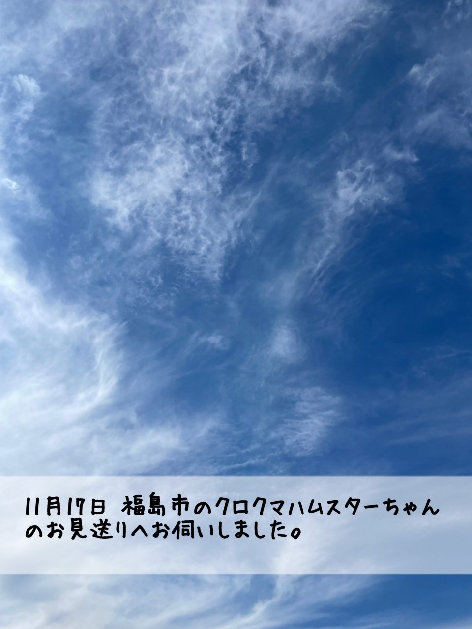 ペット訪問火葬 一縁(いちえん) | 福島市・葬儀・出張・供養