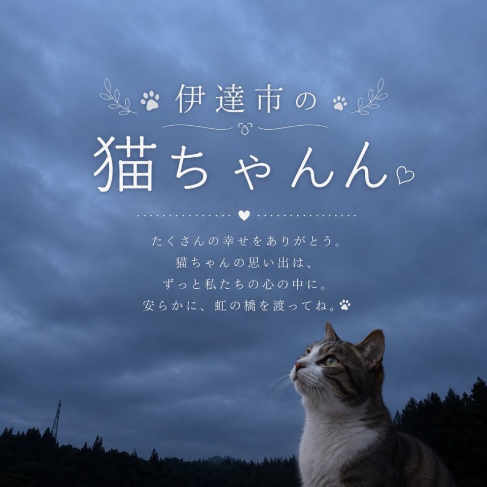 福島ペット訪問火葬 一縁(いちえん) | 葬儀・出張・供養