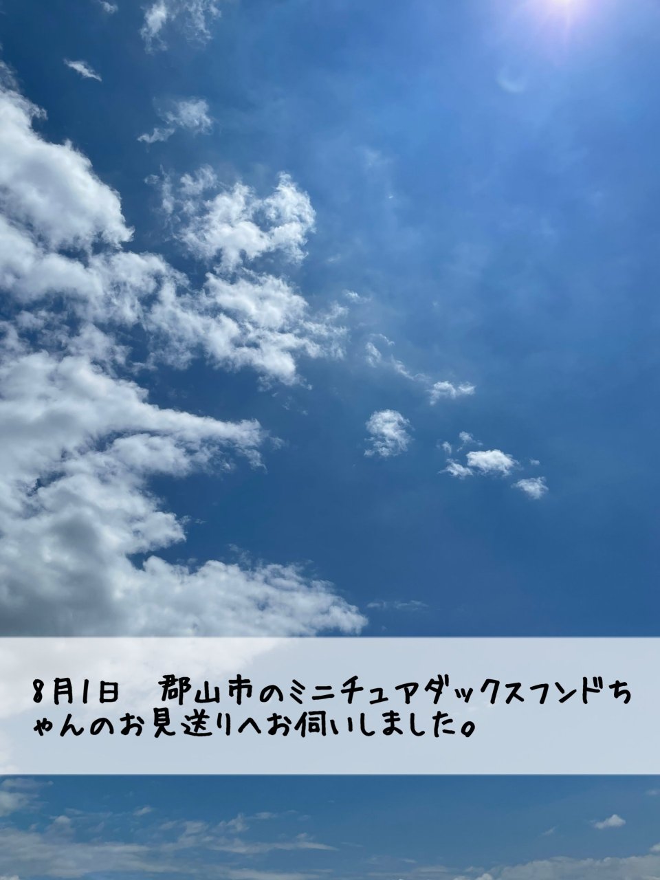 ペット訪問火葬 一縁(いちえん) | 福島市・葬儀・出張・供養