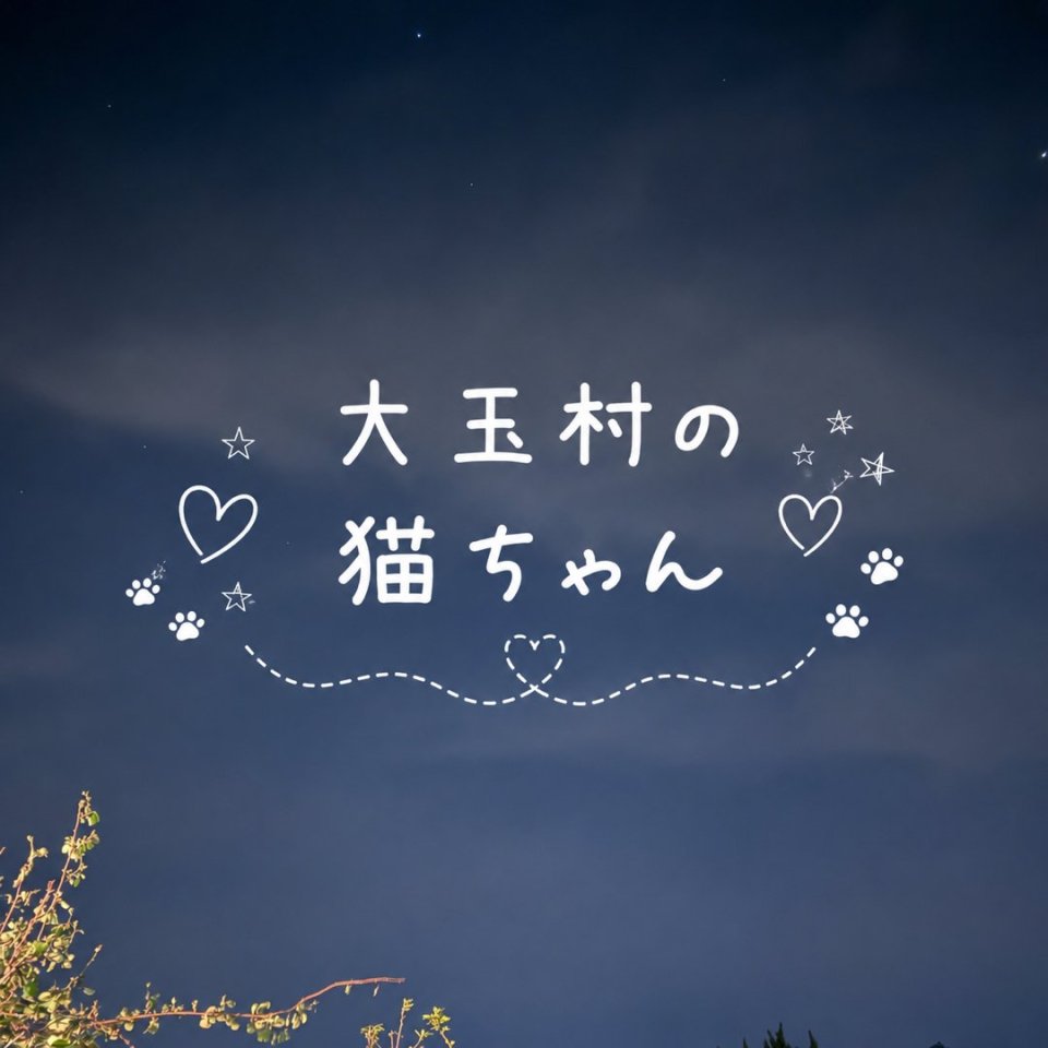 福島ペット訪問火葬 一縁(いちえん) | 葬儀・出張・供養