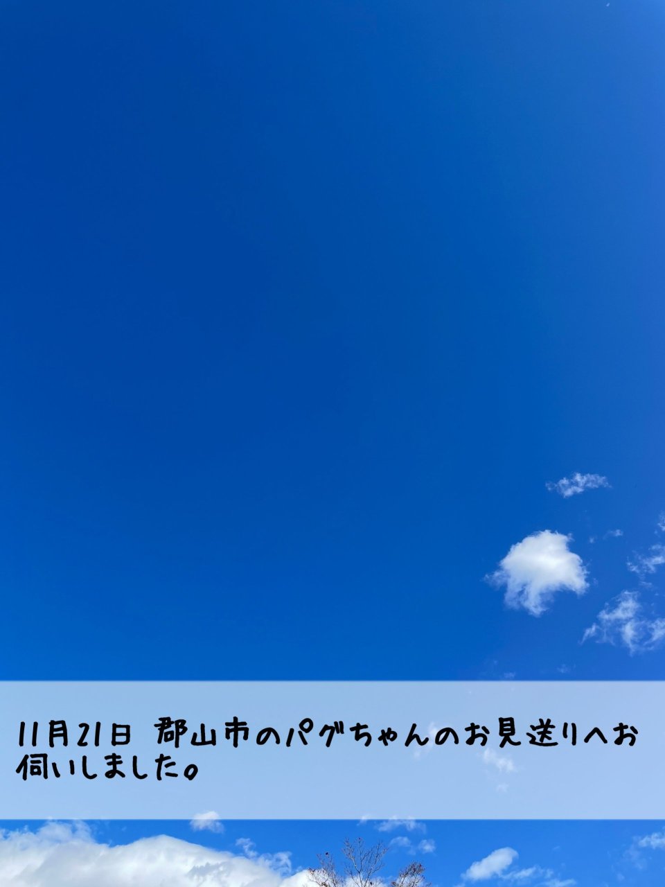 ペット訪問火葬 一縁(いちえん) | 福島市・葬儀・出張・供養