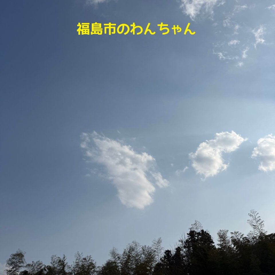 ペット訪問火葬 一縁(いちえん) | 福島市・葬儀・出張・供養