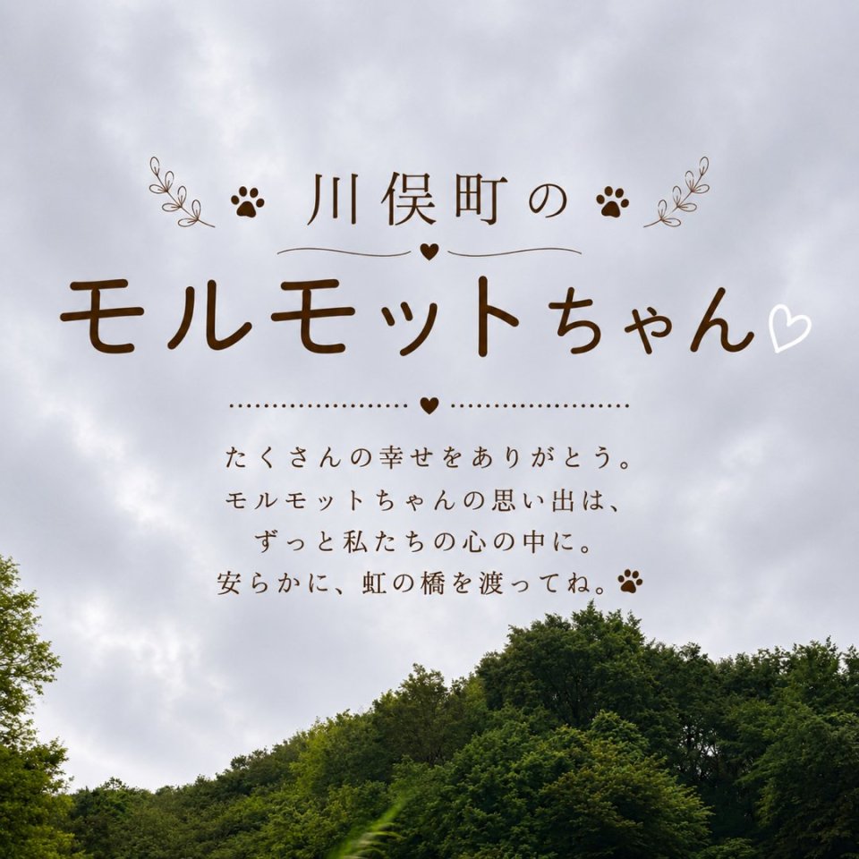 福島ペット訪問火葬 一縁(いちえん) | 葬儀・出張・供養