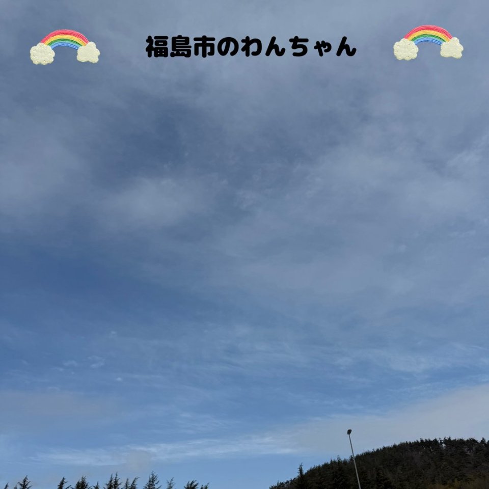 ペット訪問火葬 一縁(いちえん) | 福島市・葬儀・出張・供養