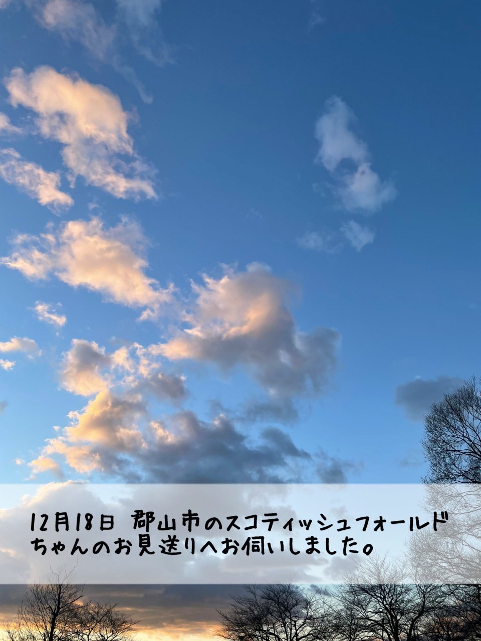 ペット訪問火葬 一縁(いちえん) | 福島市・葬儀・出張・供養