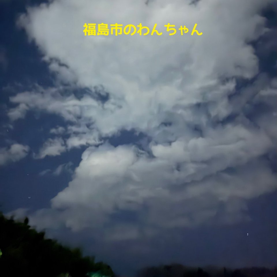 福島ペット訪問火葬 一縁(いちえん) | 葬儀・出張・供養