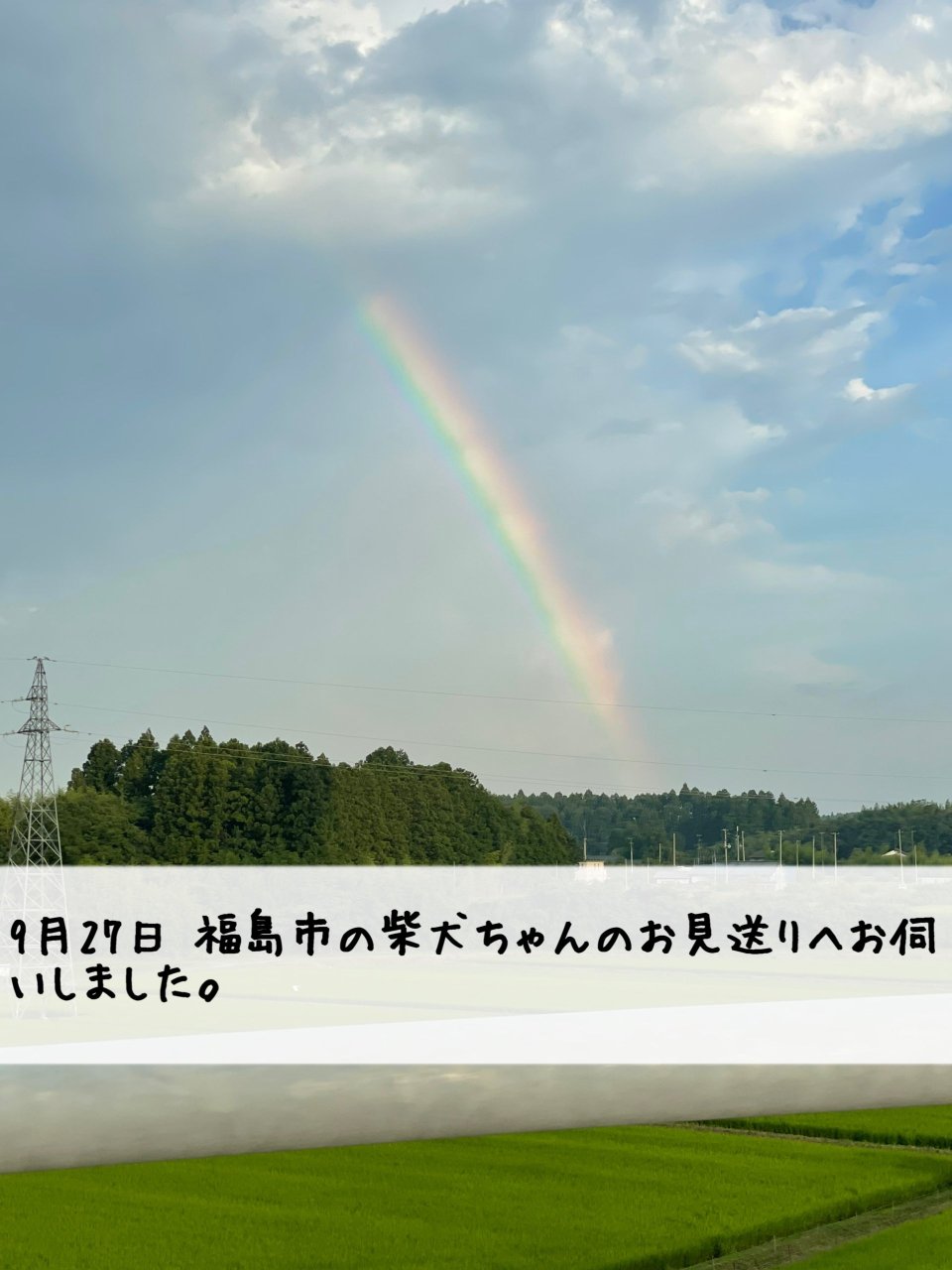ペット訪問火葬 一縁(いちえん) | 福島市・葬儀・出張・供養
