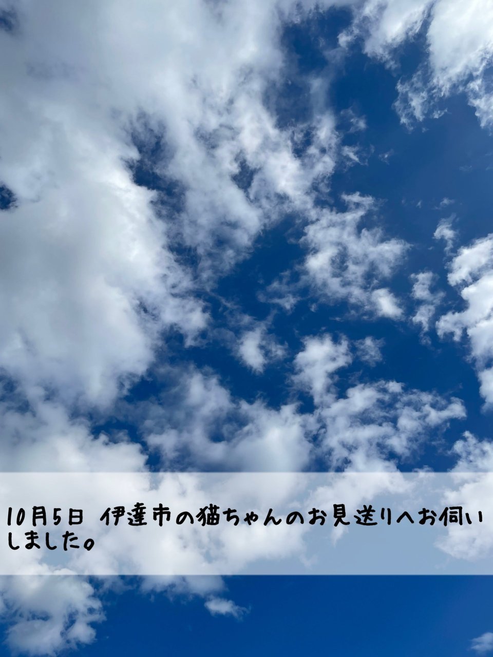 ペット訪問火葬 一縁(いちえん) | 福島市・葬儀・出張・供養