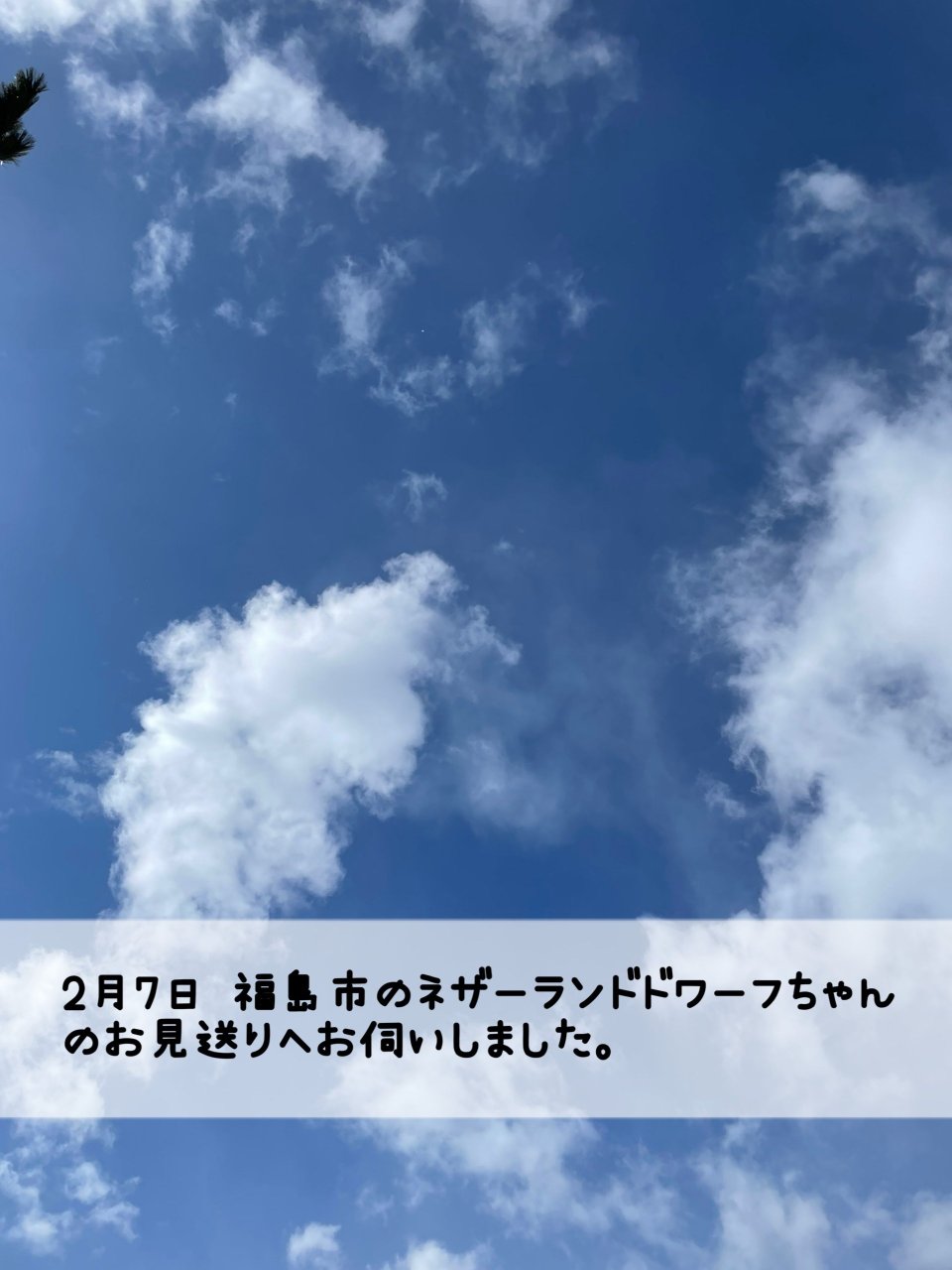 ペット訪問火葬 一縁(いちえん) | 福島市・葬儀・出張・供養