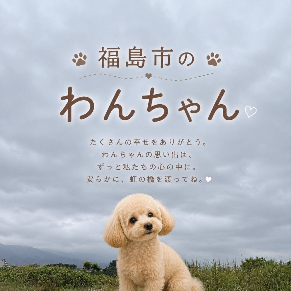 福島ペット訪問火葬 一縁(いちえん) | 葬儀・出張・供養