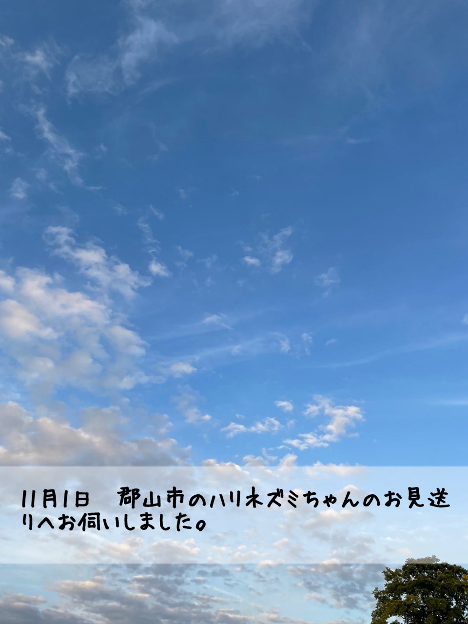 ペット訪問火葬 一縁(いちえん) | 福島市・葬儀・出張・供養