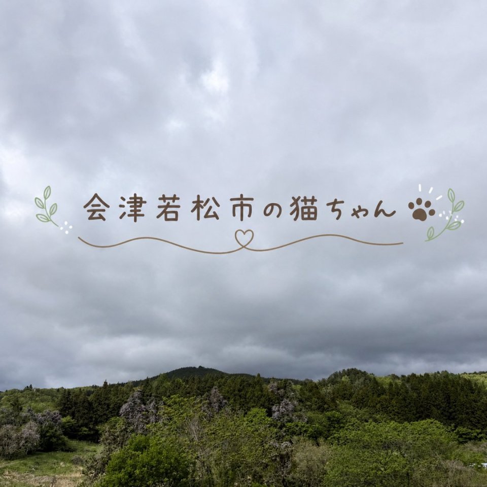福島ペット訪問火葬 一縁(いちえん) | 葬儀・出張・供養
