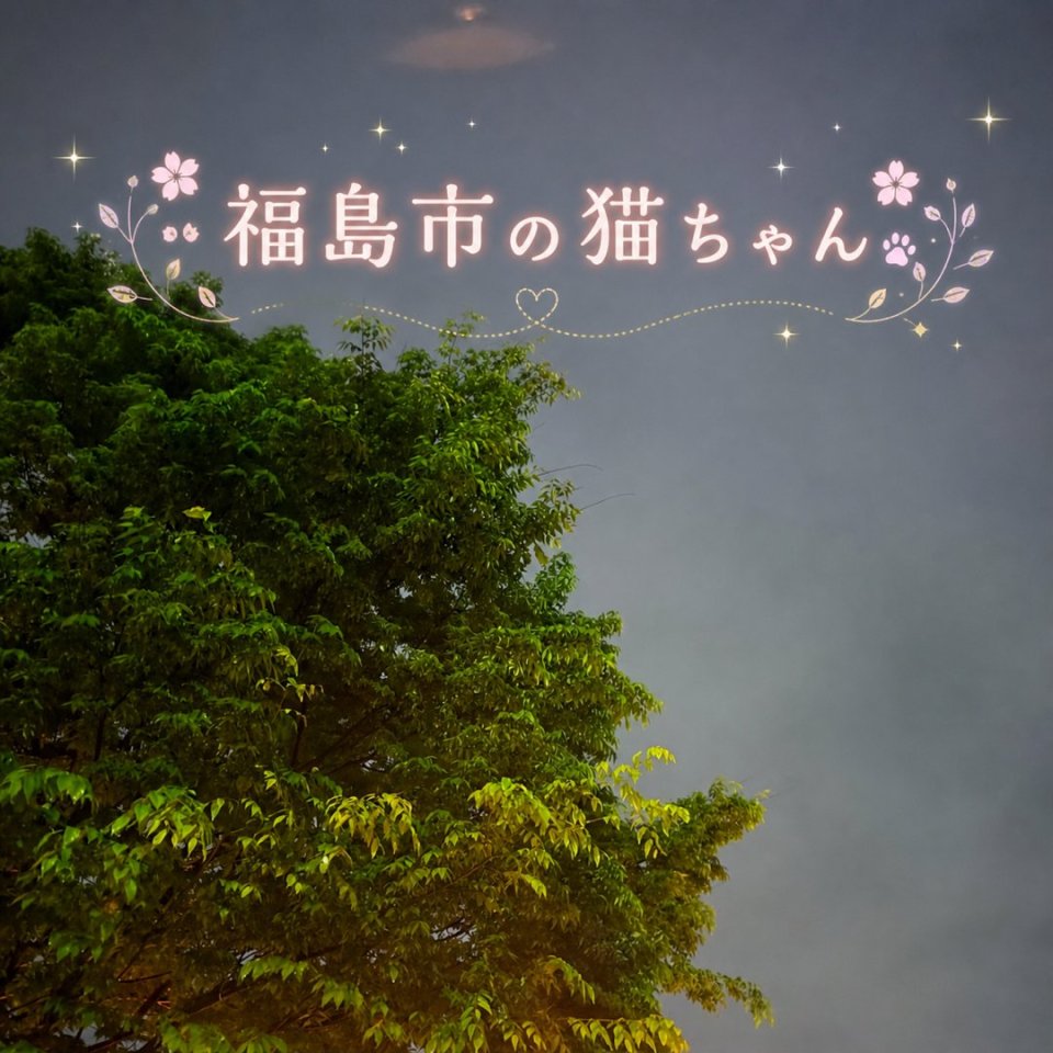 福島ペット訪問火葬 一縁(いちえん) | 葬儀・出張・供養