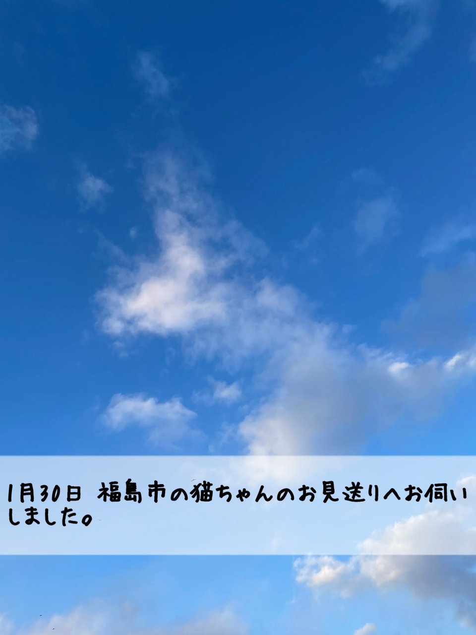 ペット訪問火葬 一縁(いちえん) | 福島市・葬儀・出張・供養