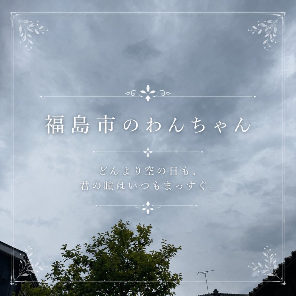 福島ペット訪問火葬 一縁(いちえん) | 葬儀・出張・供養