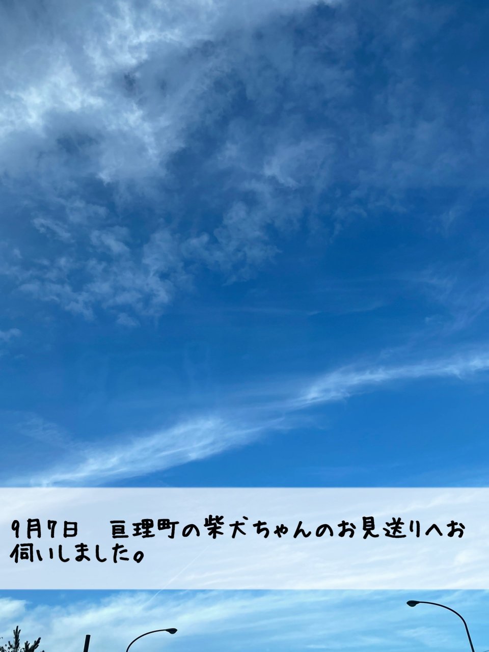 ペット訪問火葬 一縁(いちえん) | 福島市・葬儀・出張・供養
