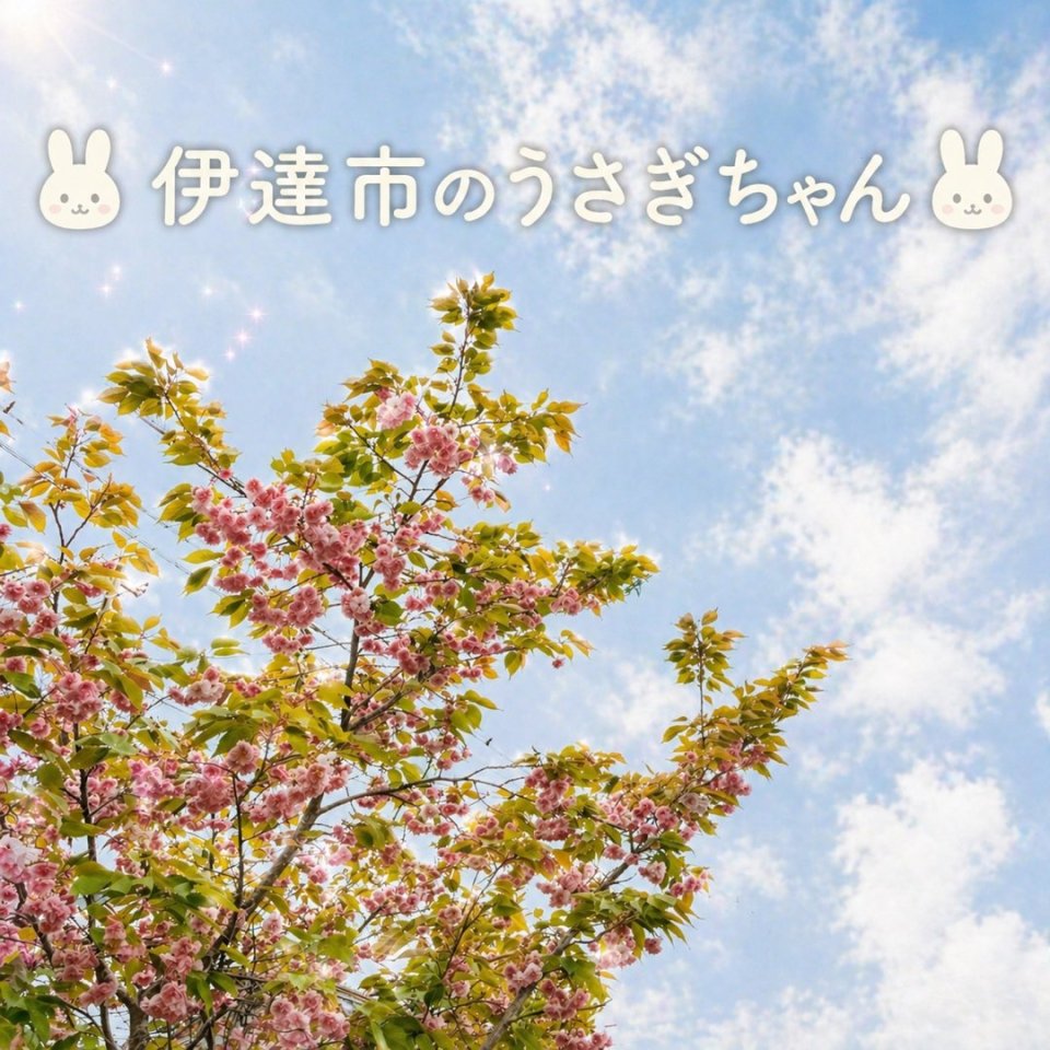 福島ペット訪問火葬 一縁(いちえん) | 葬儀・出張・供養