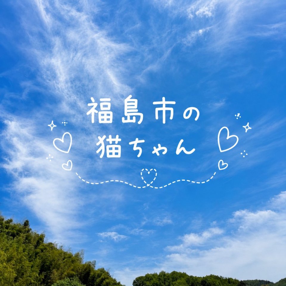 福島ペット訪問火葬 一縁(いちえん) | 葬儀・出張・供養