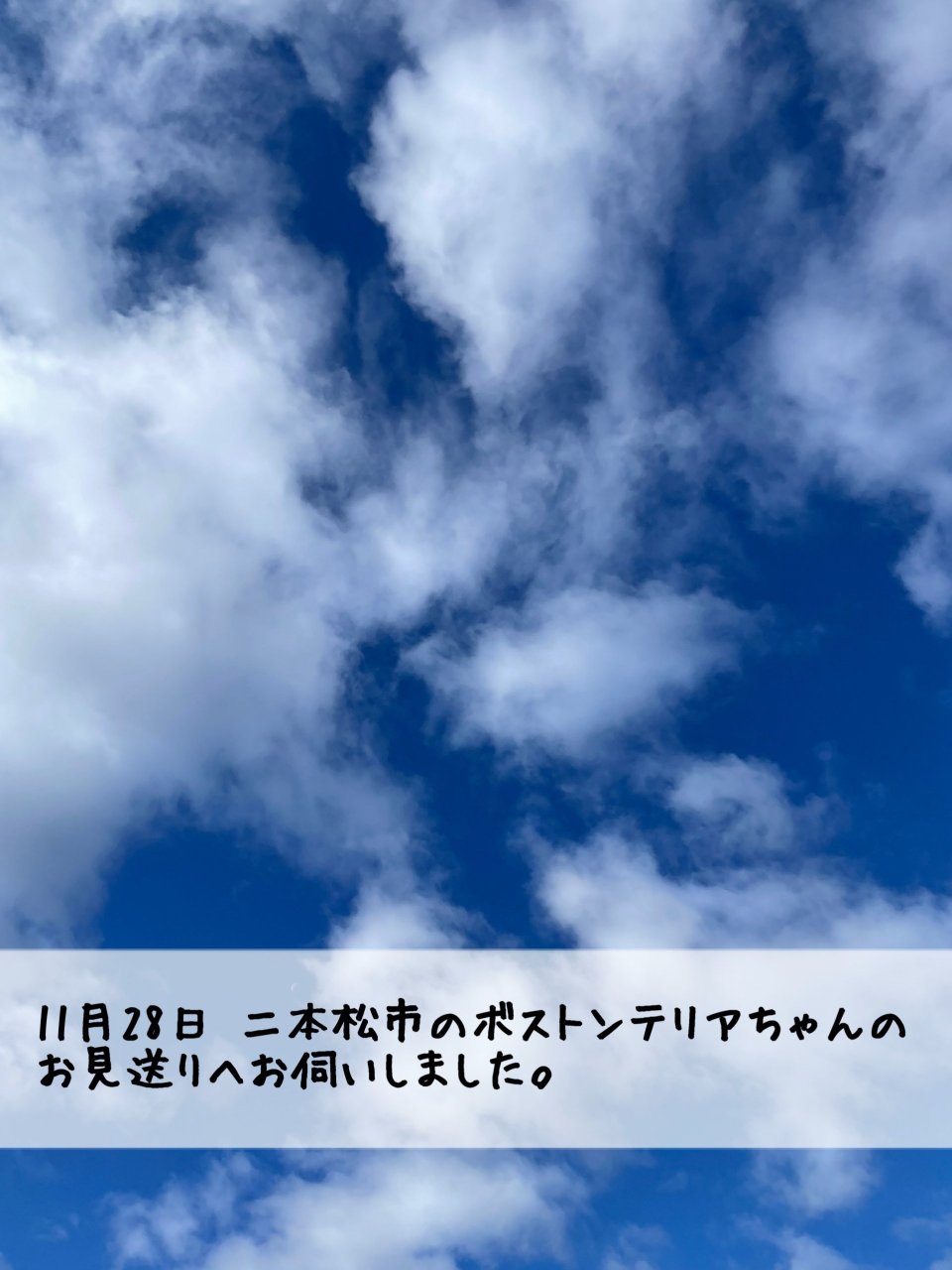 ペット訪問火葬 一縁(いちえん) | 福島市・葬儀・出張・供養