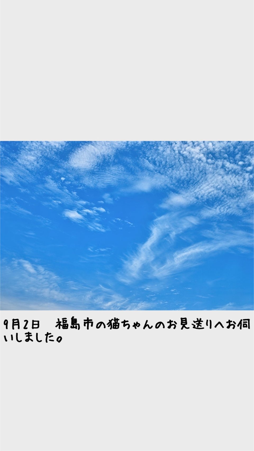 ペット訪問火葬 一縁(いちえん) | 福島市・葬儀・出張・供養