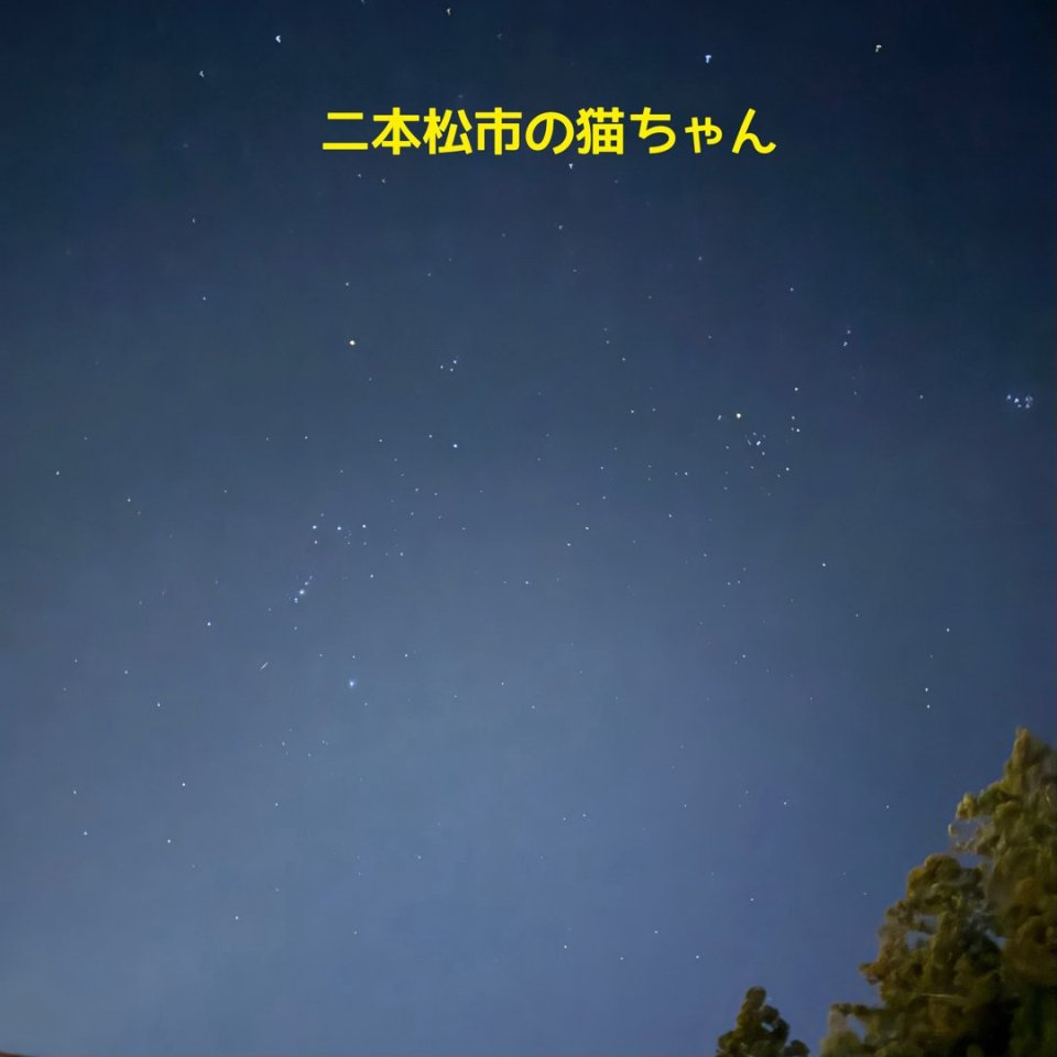 ペット訪問火葬 一縁(いちえん) | 福島市・葬儀・出張・供養