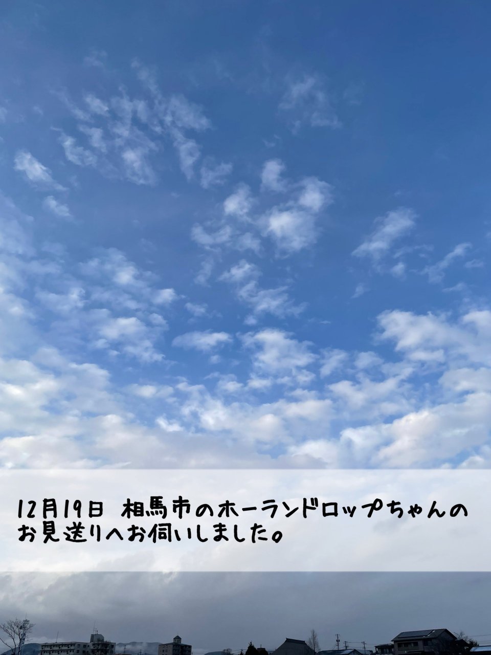 ペット訪問火葬 一縁(いちえん) | 福島市・葬儀・出張・供養