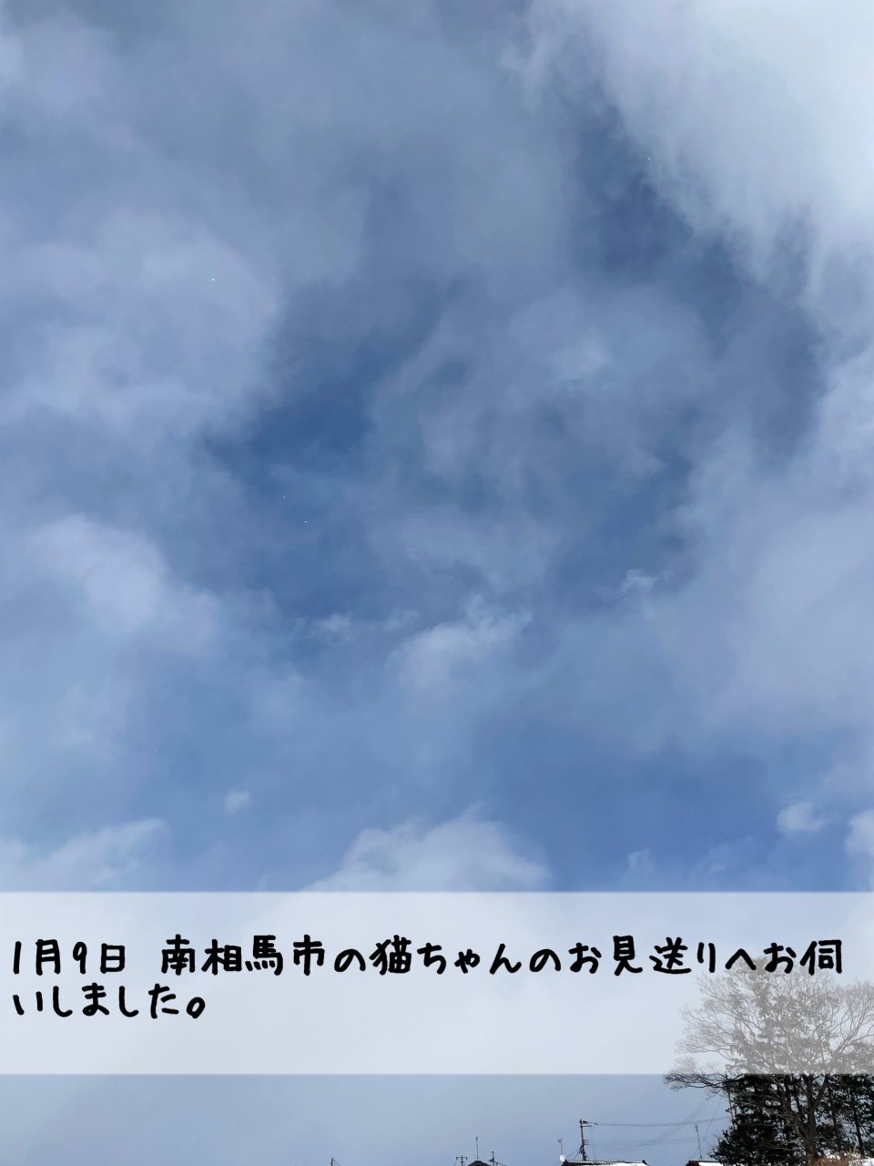 ペット訪問火葬 一縁(いちえん) | 福島市・葬儀・出張・供養