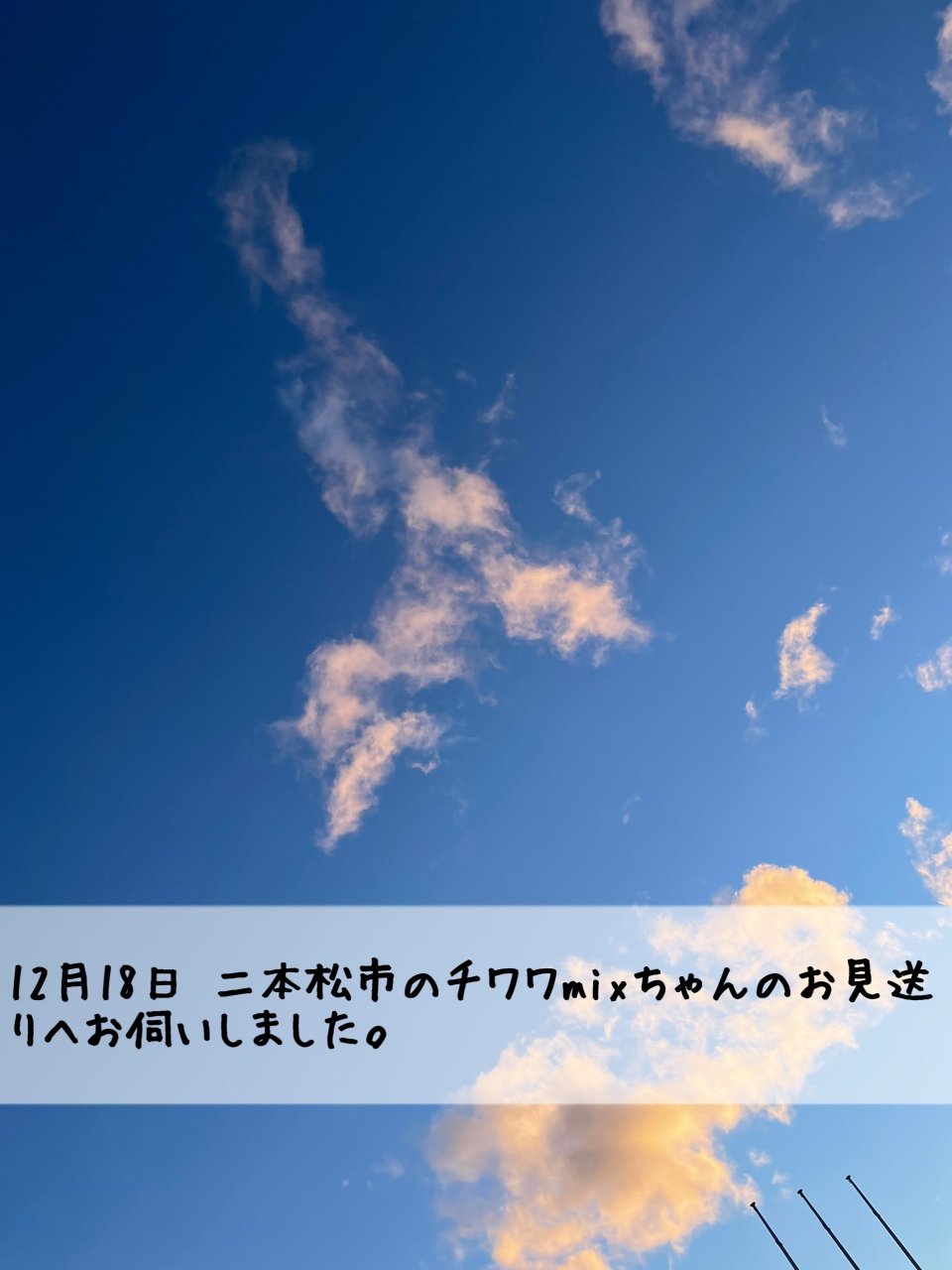ペット訪問火葬 一縁(いちえん) | 福島市・葬儀・出張・供養