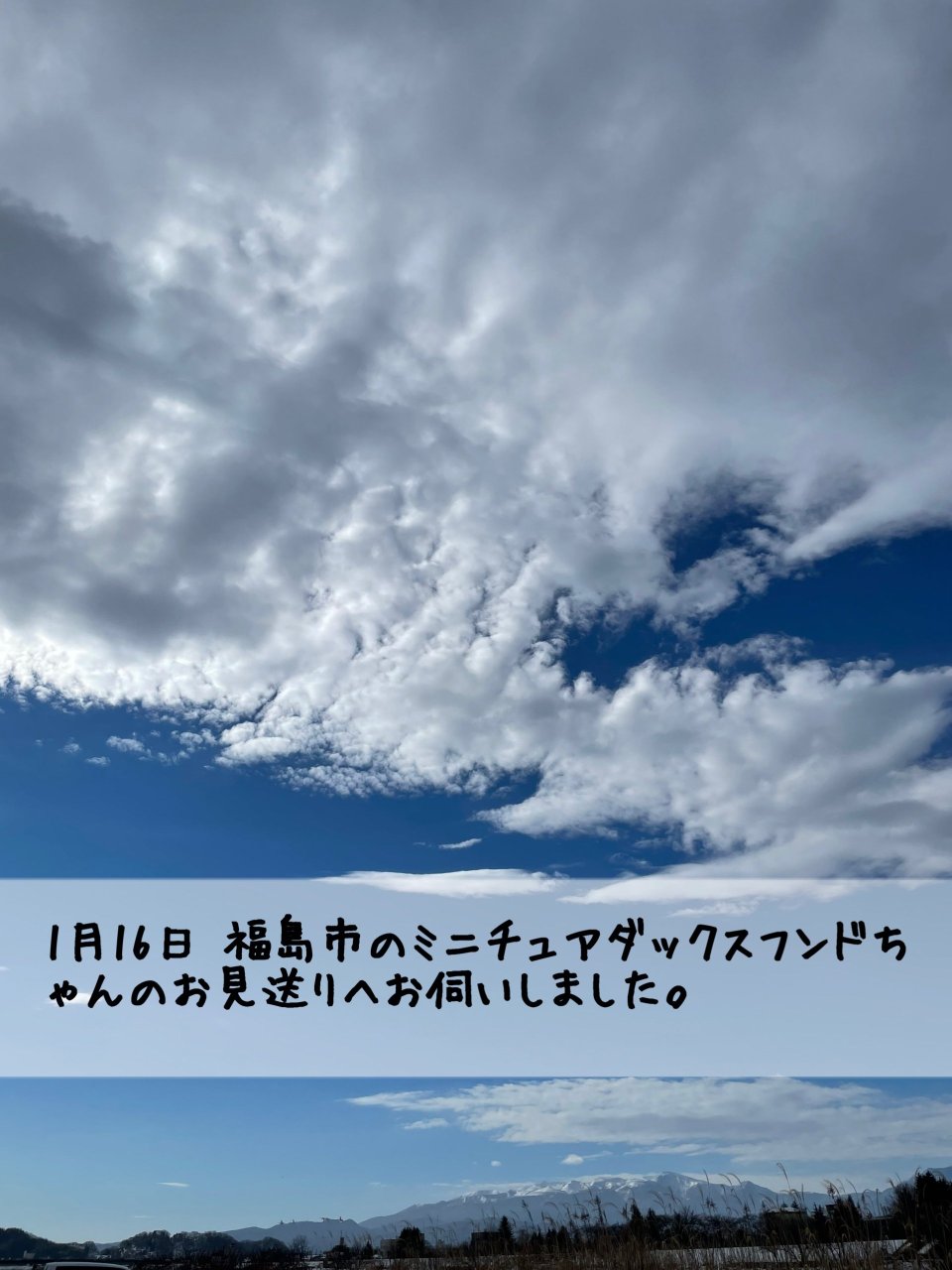 ペット訪問火葬 一縁(いちえん) | 福島市・葬儀・出張・供養