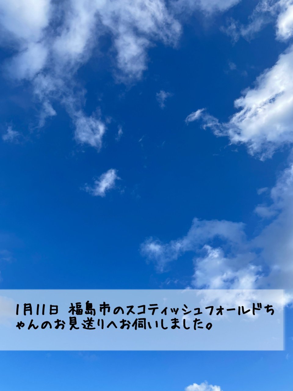 ペット訪問火葬 一縁(いちえん) | 福島市・葬儀・出張・供養