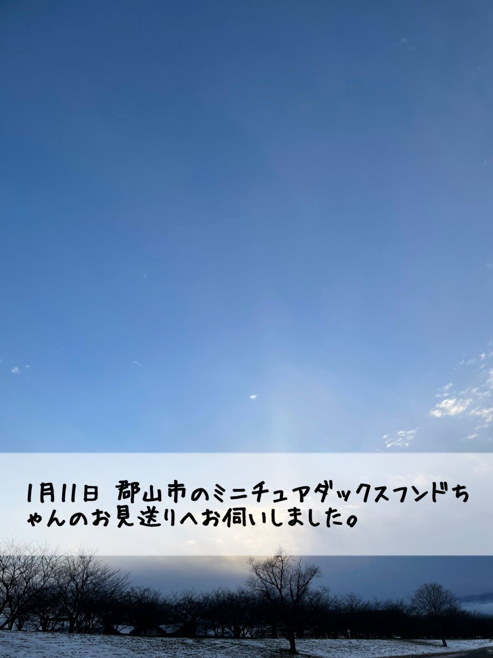 ペット訪問火葬 一縁(いちえん) | 福島市・葬儀・出張・供養
