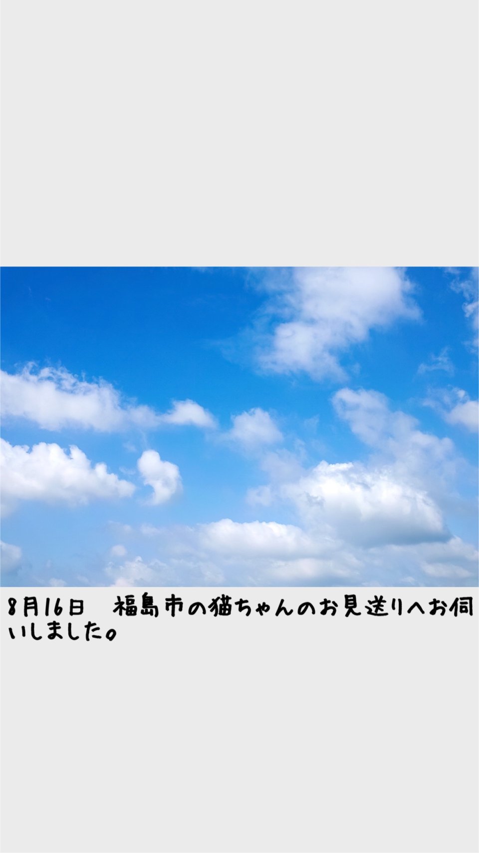 ペット訪問火葬 一縁(いちえん) | 福島市・葬儀・出張・供養