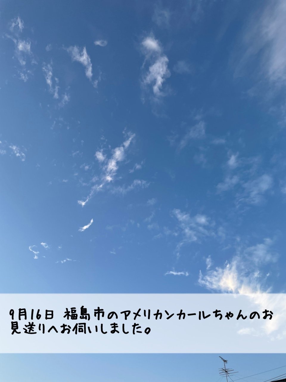 ペット訪問火葬 一縁(いちえん) | 福島市・葬儀・出張・供養