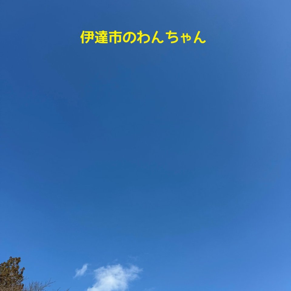 ペット訪問火葬 一縁(いちえん) | 福島市・葬儀・出張・供養