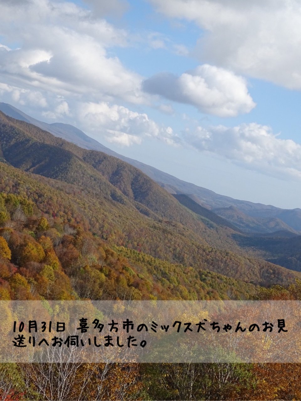 ペット訪問火葬 一縁(いちえん) | 福島市・葬儀・出張・供養