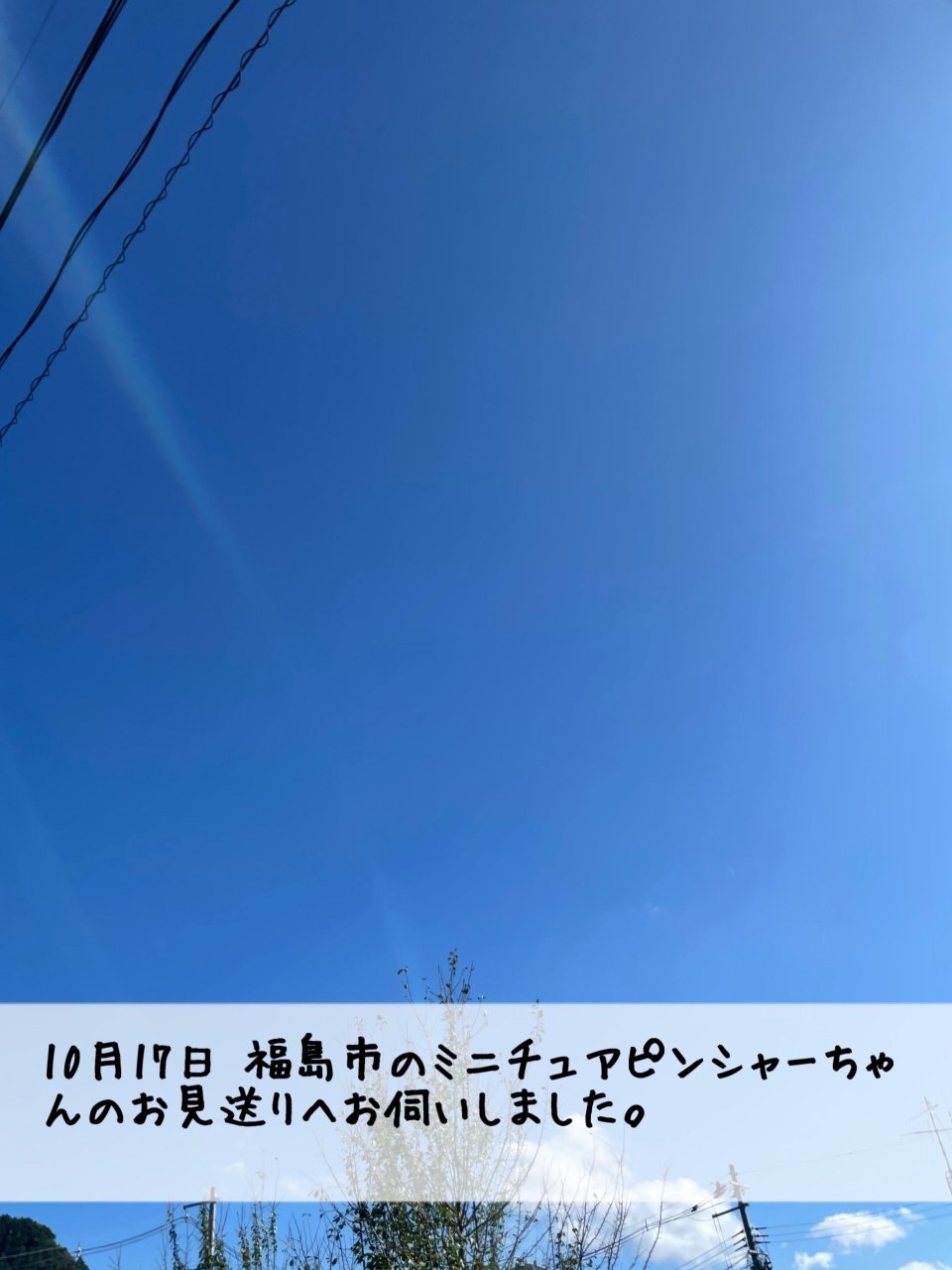 ペット訪問火葬 一縁(いちえん) | 福島市・葬儀・出張・供養
