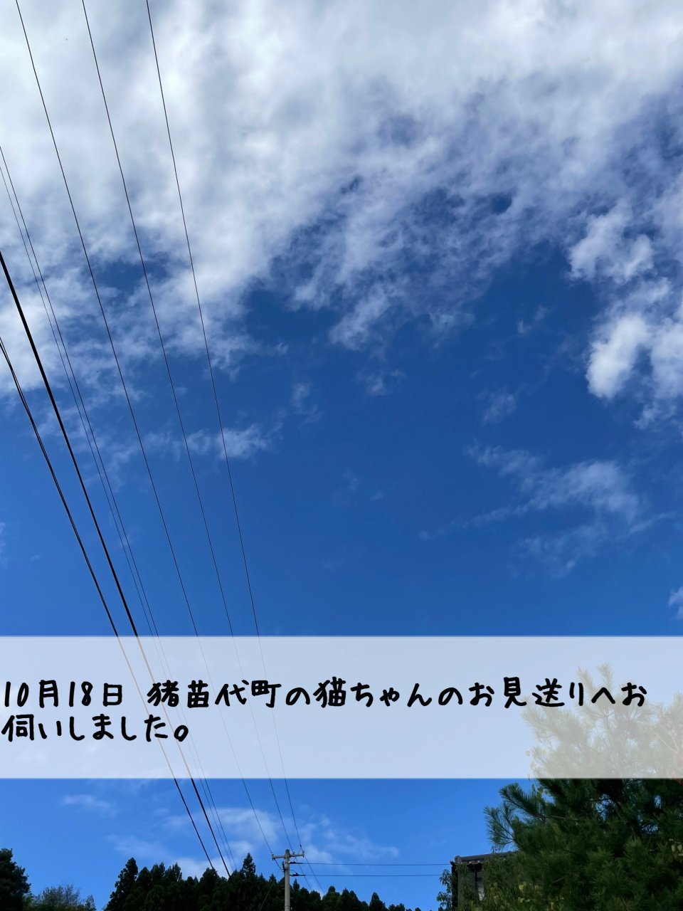 ペット訪問火葬 一縁(いちえん) | 福島市・葬儀・出張・供養