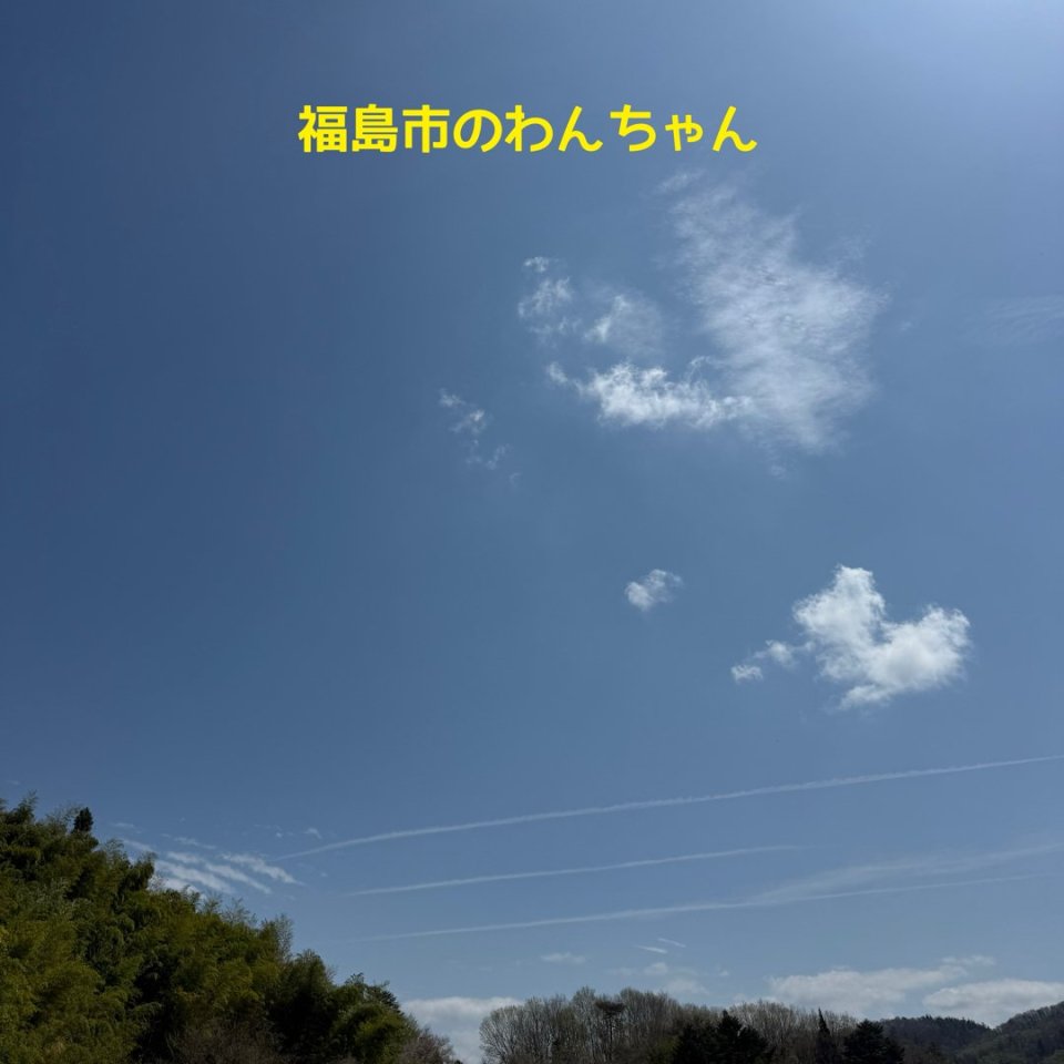 福島ペット訪問火葬 一縁(いちえん) | 葬儀・出張・供養