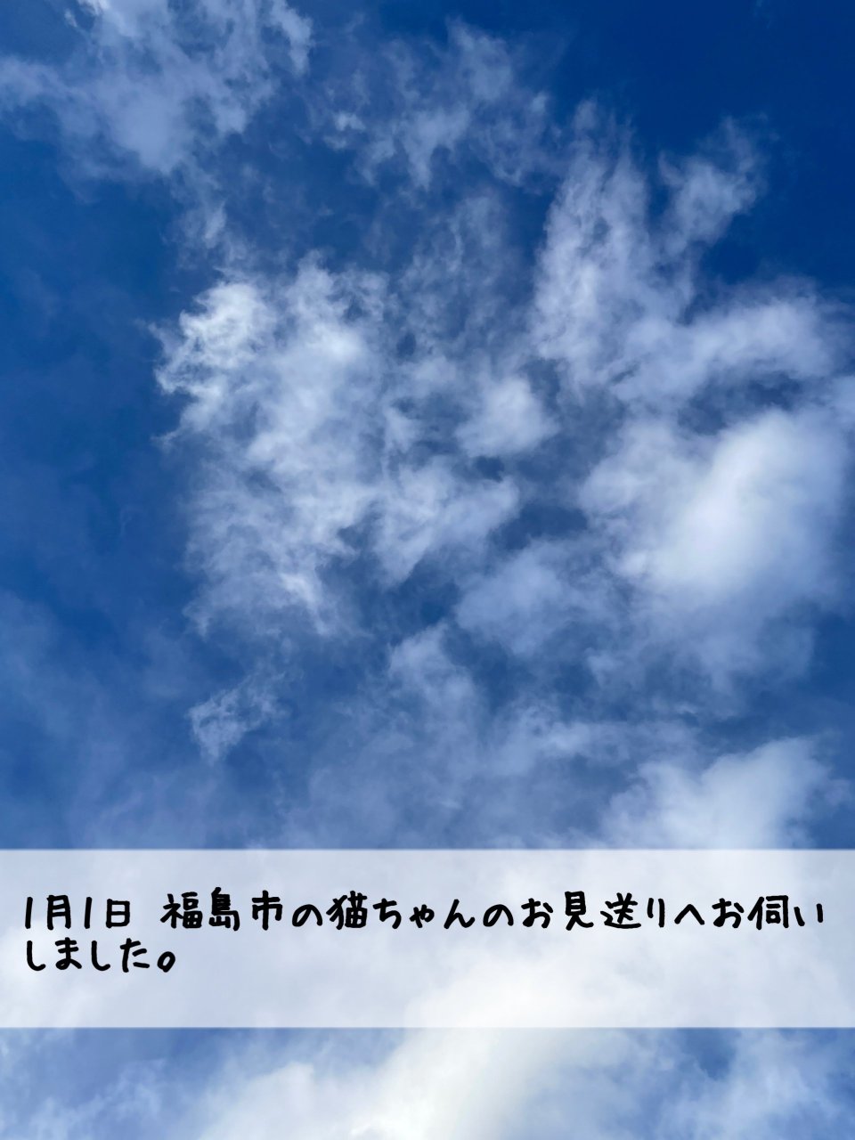 ペット訪問火葬 一縁(いちえん) | 福島市・葬儀・出張・供養
