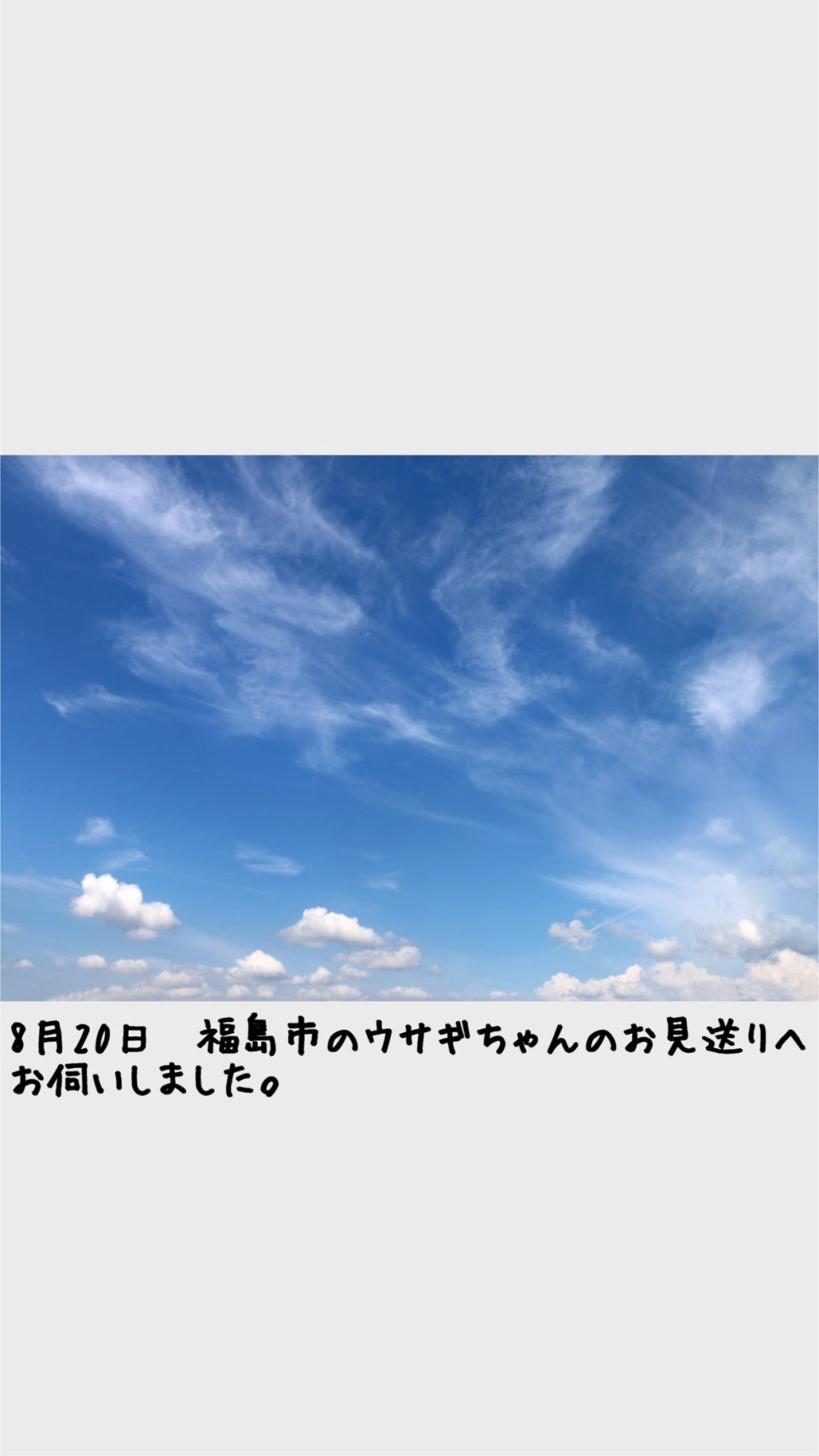 ペット訪問火葬 一縁(いちえん) | 福島市・葬儀・出張・供養