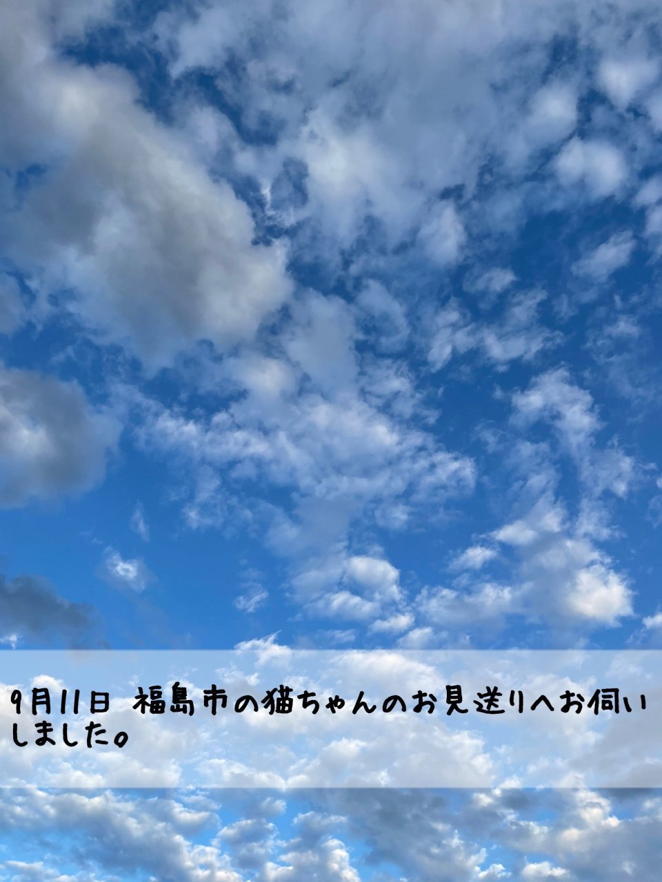 ペット訪問火葬 一縁(いちえん) | 福島市・葬儀・出張・供養