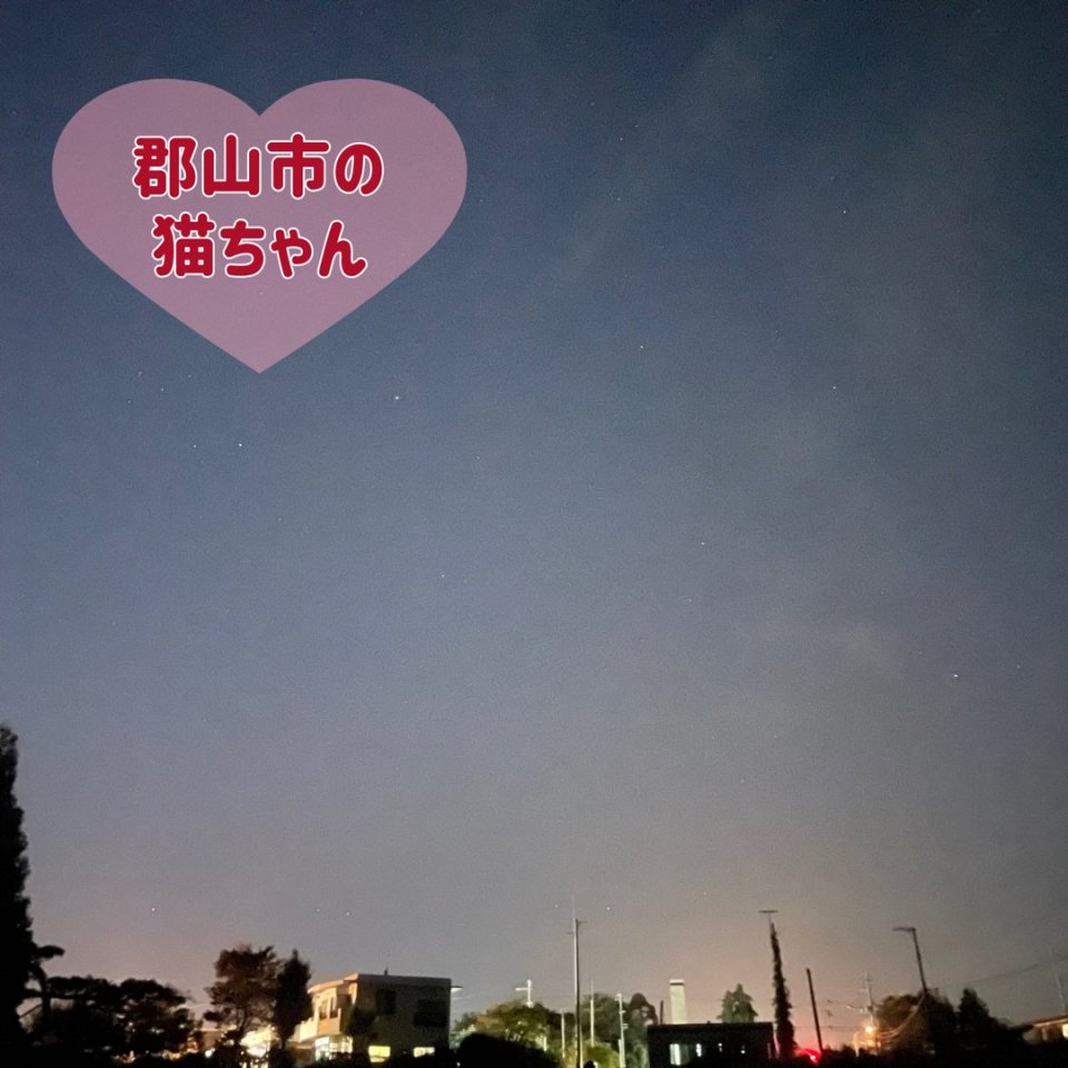 ペット訪問火葬 一縁(いちえん) | 福島市・葬儀・出張・供養
