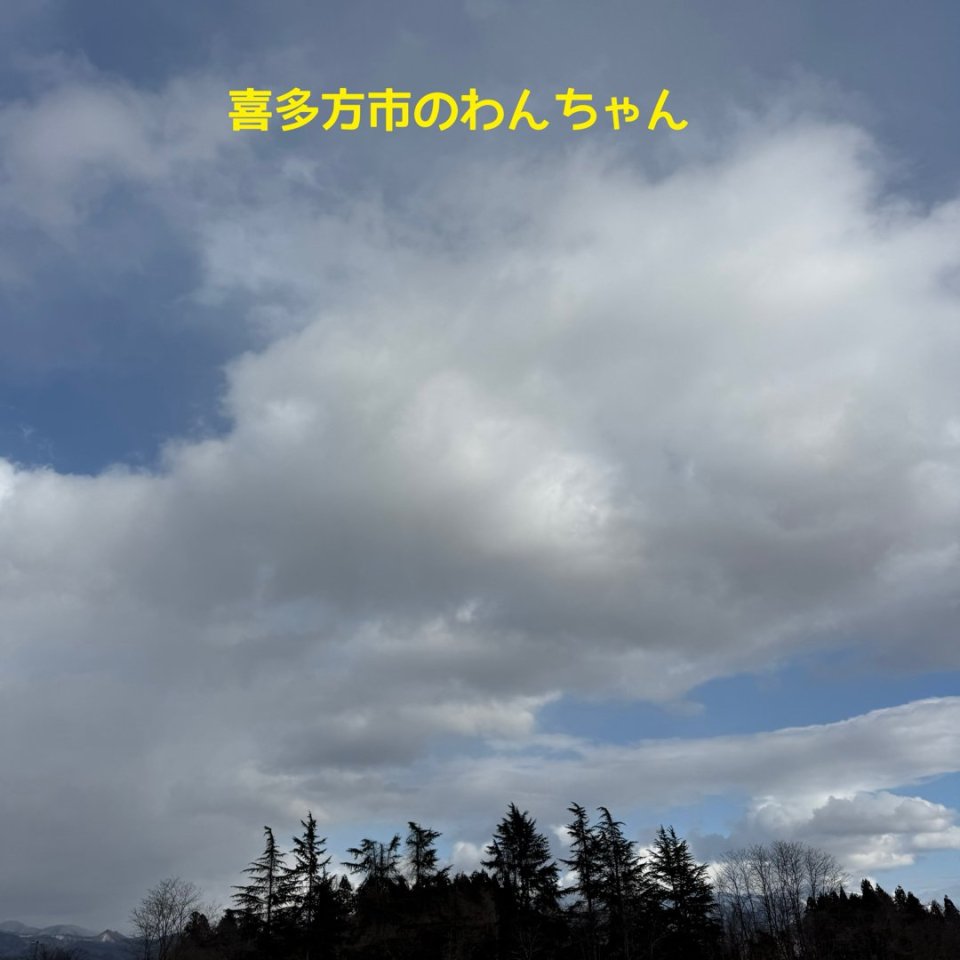 ペット訪問火葬 一縁(いちえん) | 福島市・葬儀・出張・供養