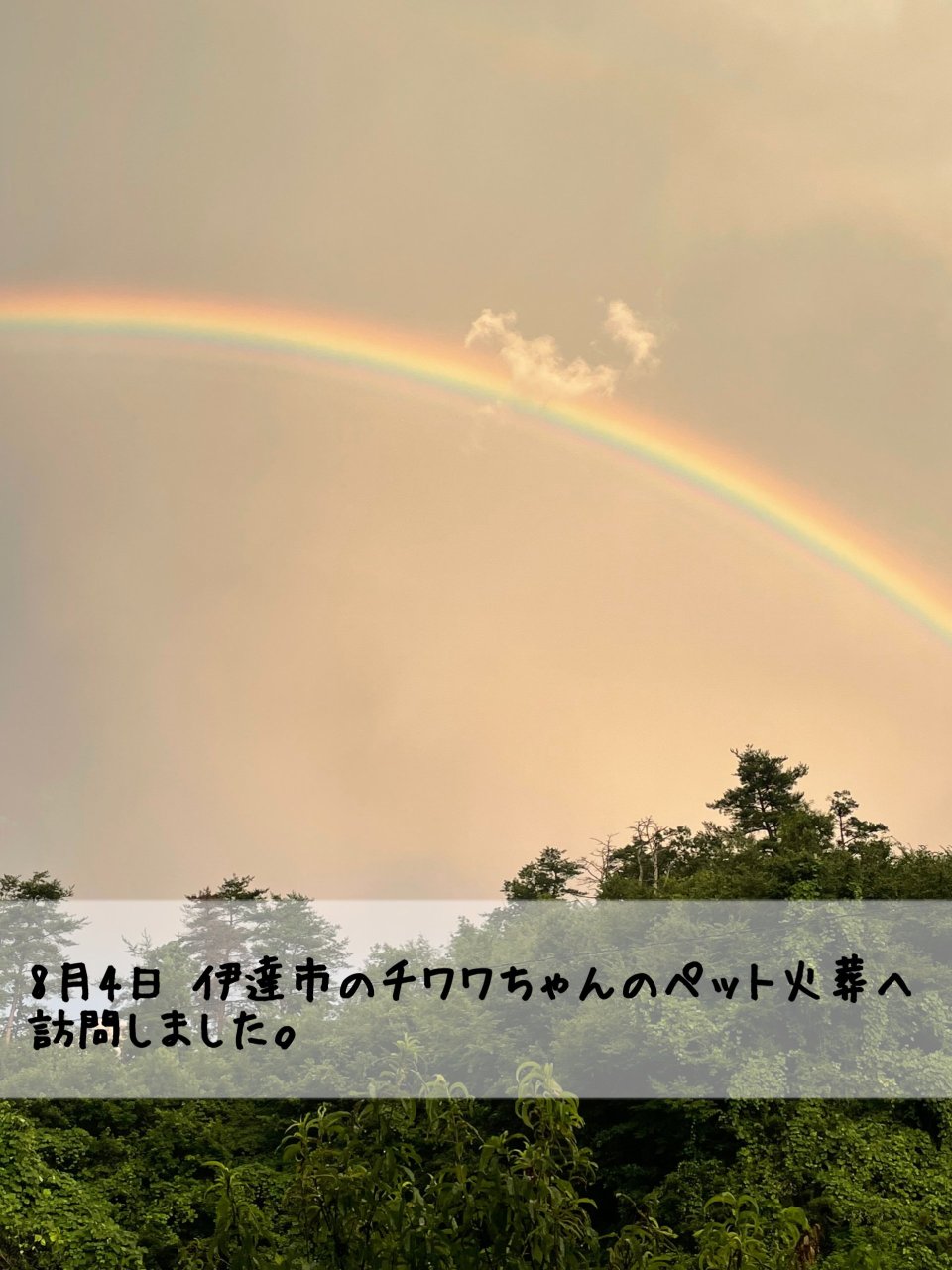 ペット訪問火葬 一縁(いちえん) | 福島市・葬儀・出張・供養
