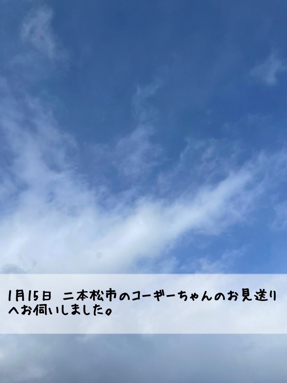 ペット訪問火葬 一縁(いちえん) | 福島市・葬儀・出張・供養