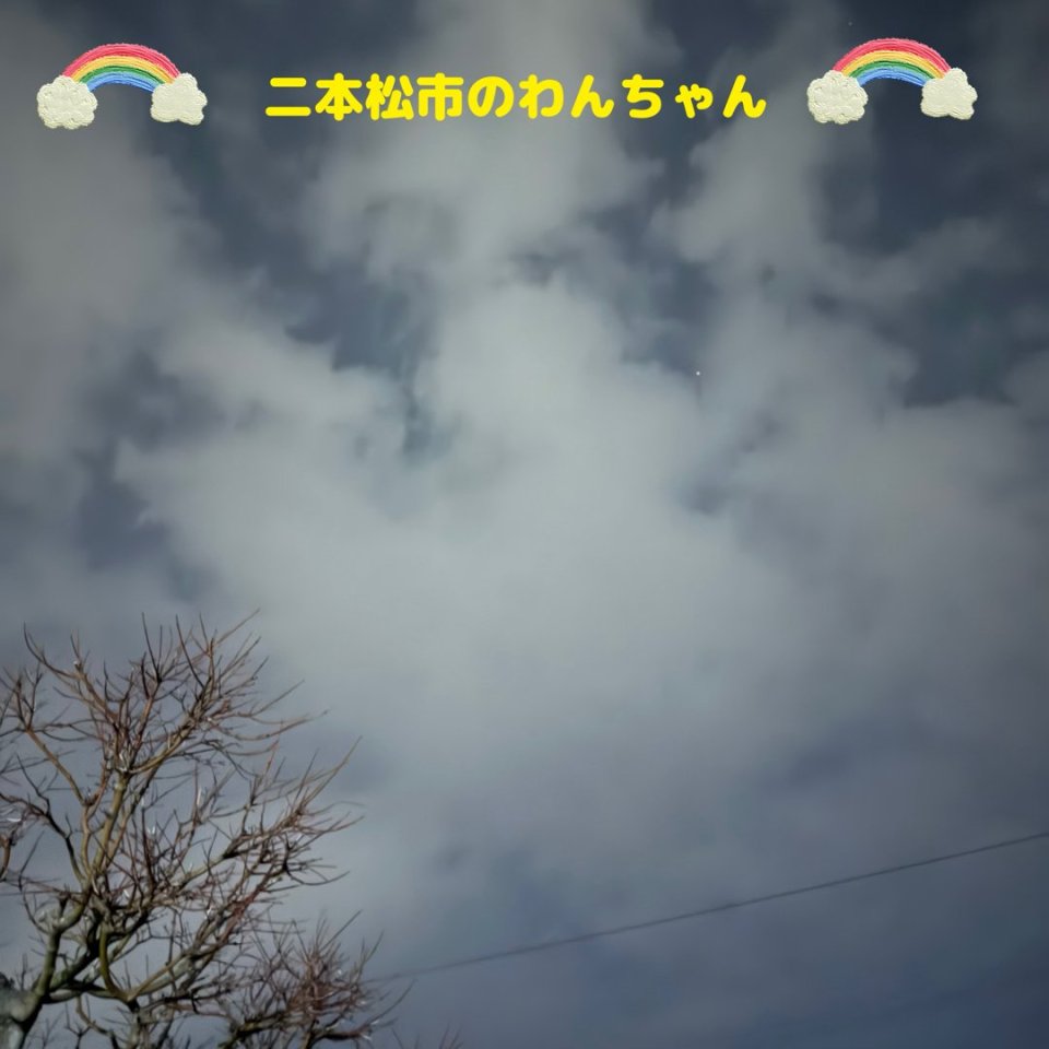 ペット訪問火葬 一縁(いちえん) | 福島市・葬儀・出張・供養