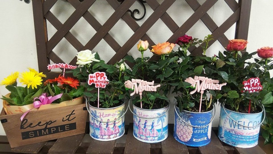 https://www.gurutto-fukushima.com/db_img/cl_img/283/news/images/app_ArzRTW_202204251756.jpg