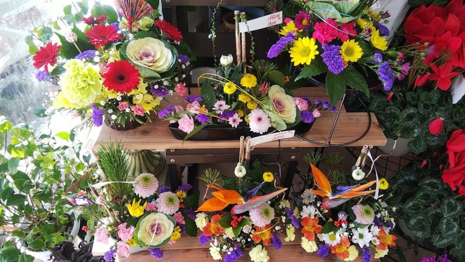 https://www.gurutto-fukushima.com/db_img/cl_img/283/news/images/app_m7ufmv_202112281258.jpg